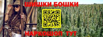спиды Гай