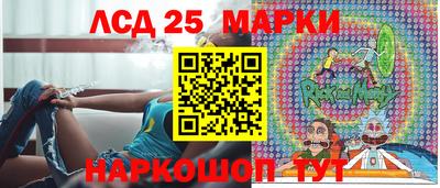 спиды Гай