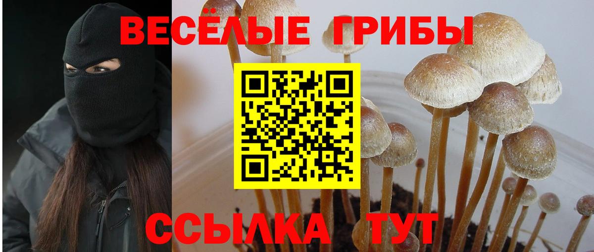 Псилоцибиновые грибы Magic Shrooms Семилуки